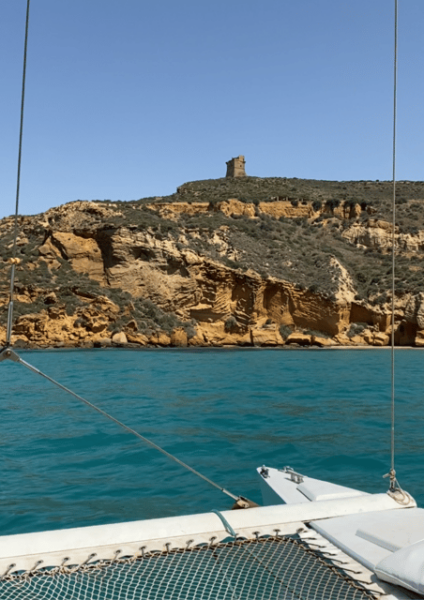 Scala Dei Turchi: Snorkeling With a Marine Biologist! - Customer Testimonials