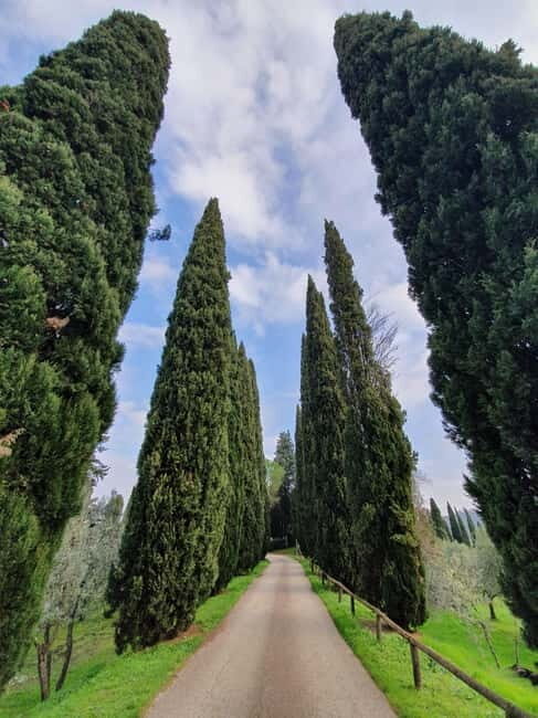 Scandicci: Bellavista Wine Tasting Experience - What to Expect on the Day