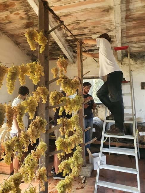 Scandicci: Bellavista Wine Tasting Experience - Final Thoughts: Is It Worth It?