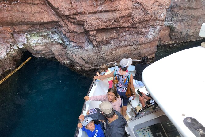 Scandola, Girolata and Calanques De Piana Day Cruise - The Sum Up