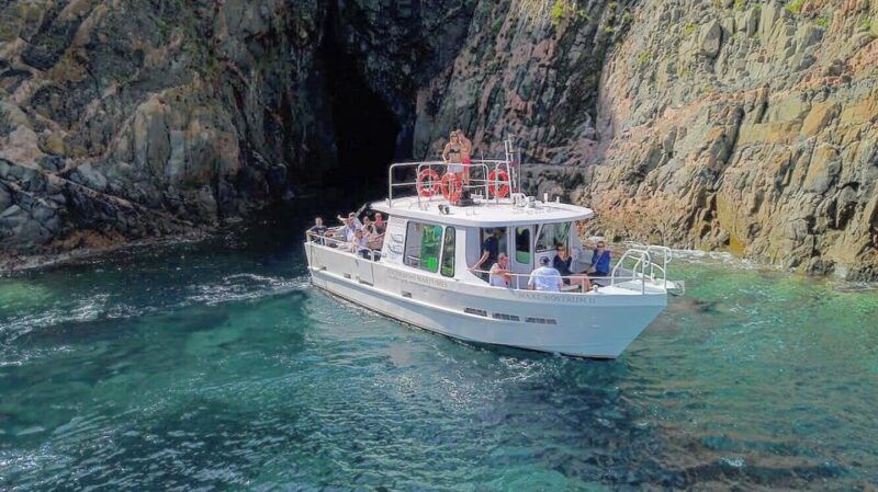 Scandola: Visit the Nature Reserve From Porto (France) - Good To Know