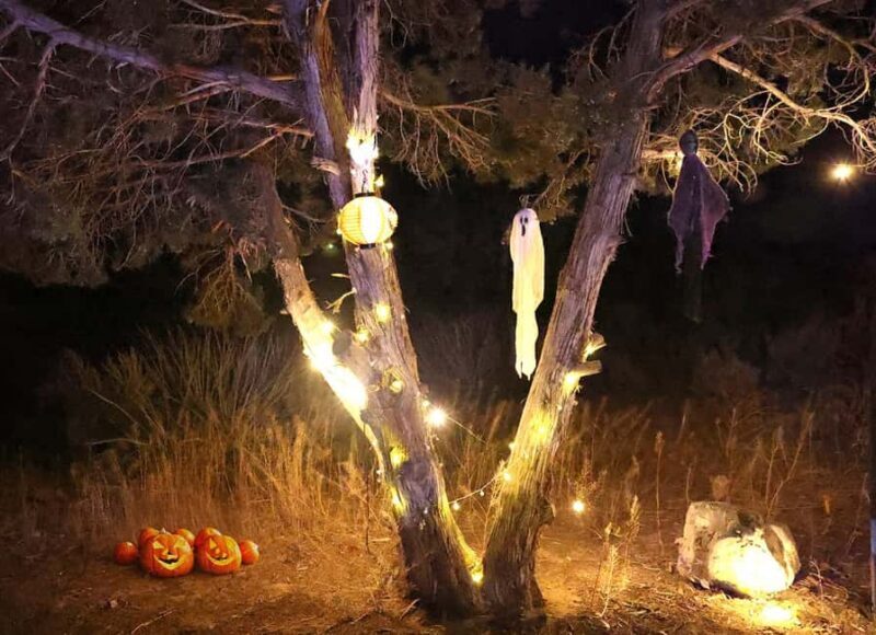 Scary Movie Night in the Desert - The Films and Atmosphere