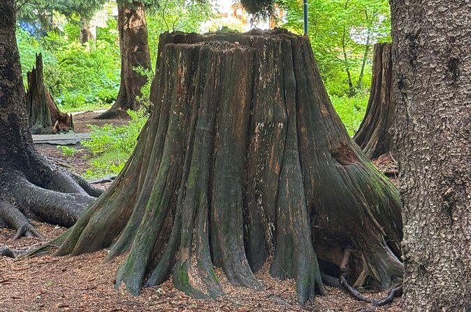 Scavenger Hunt Adventure with Geocaching in Whistler - Practical Tips for Participants  