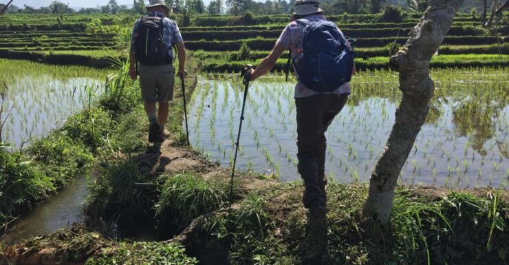 Scene of Sidemen Trekking - Booking Details
