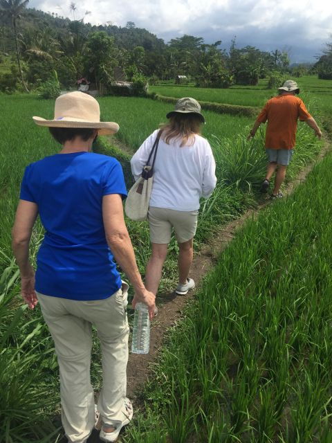 Scene of Sidemen Trekking - Experience Highlights