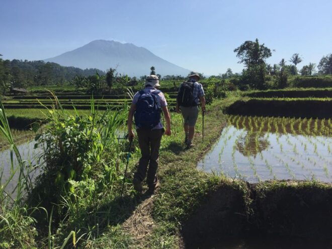 Scene of Sidemen Trekking - Scene Overview