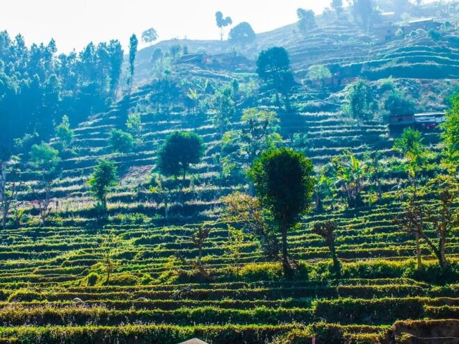 Scenic 3-Day Hike: From Sundarijal to Chisapani and Nagarkot - Day 2: Chisapani to Nagarkot