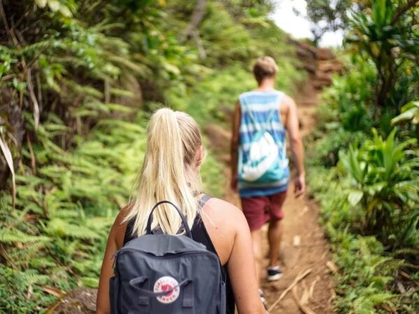 Scenic 3-Day Hike: From Sundarijal to Chisapani and Nagarkot - Questions You May Have