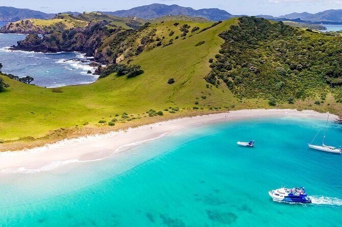 Scenic Bay of Islands Escape: Private Full-Day Tour from Auckland - Good To Know