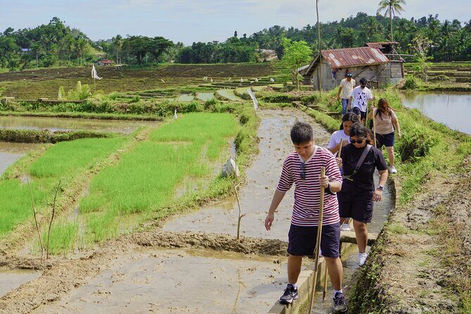 Scenic Bohol Candijay Tour with Private Driver-Guide - Authentic Experiences and Practical Insights from Reviews