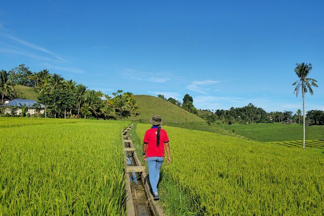 Scenic Bohol Candijay Tour with Private Driver-Guide - Who Is This Tour Best For?