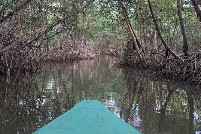 Scenic City Tour - Frequently Asked Questions