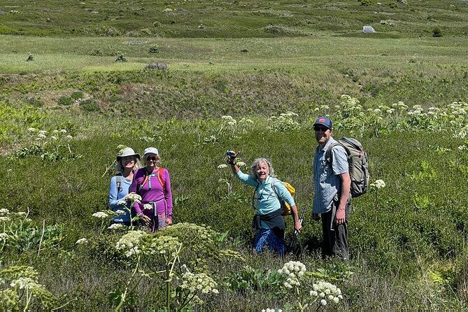 Scenic Coast and Wildlife Tour - Good To Know