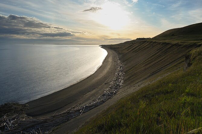 Scenic Coast and Wildlife Tour - Exploring the San Juan Islands with the Scenic Coast and Wildlife Tour