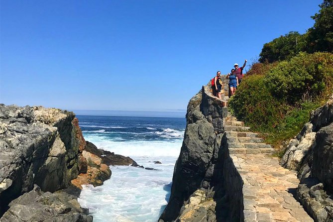 Scenic Coastal Adventure: Pacific Ocean Hike - Tour Details