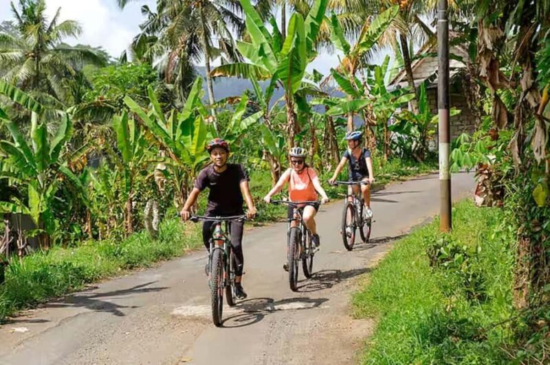 Scenic Cycling Tours Through Bali's Sidemen Countryside - What the Tour Offers
