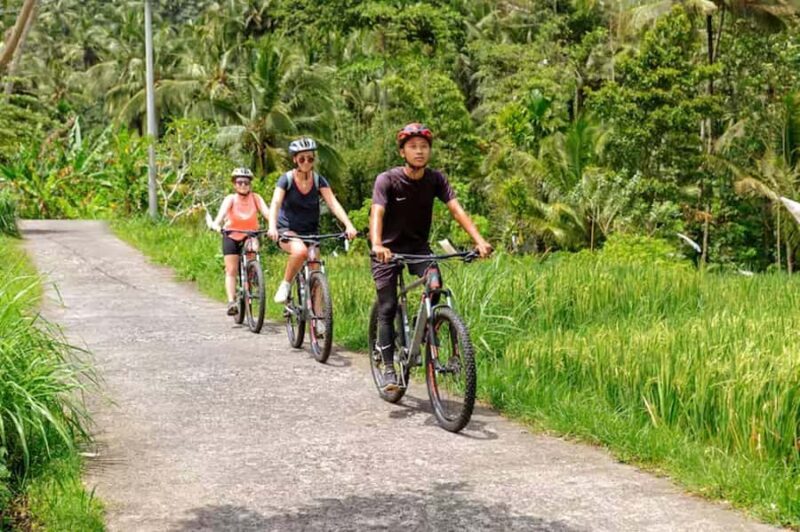 Scenic Cycling Tours Through Bali's Sidemen Countryside - The Route and Physical Demands