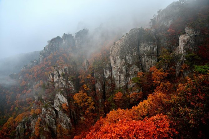 Scenic Daedunsan Provincial Park Day Trip From Seoul - Traveler Tips