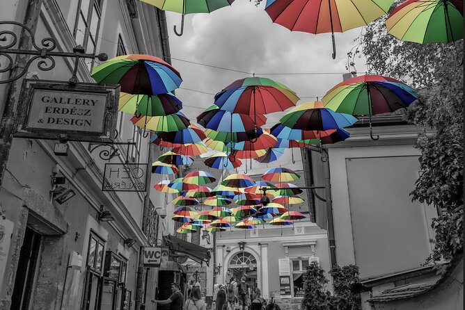 Scenic Danube River Bend Hills & the Art Town: Private Car Tour - Additional Information