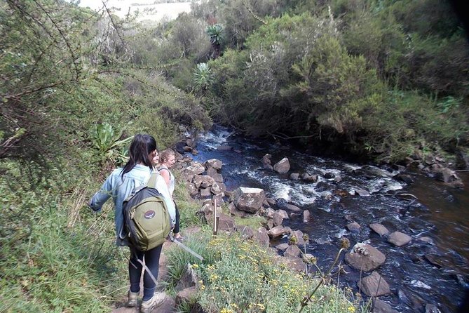 Scenic Day Trip to Aberdares National Park - Inclusions
