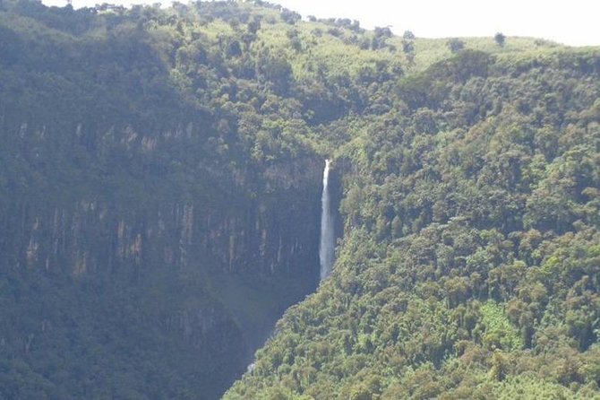 Scenic Day Trip to Aberdares National Park - Reviews and Ratings