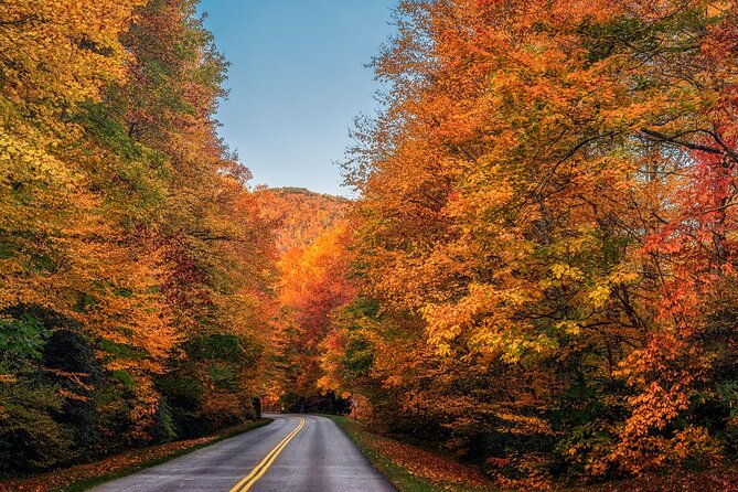 Scenic Driving Tour of the Blue Ridge Mountains - Meeting and Pickup