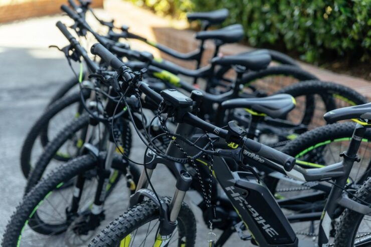 Scenic E-Bike Ride With Vineyard Wine & Meal - Activity Details