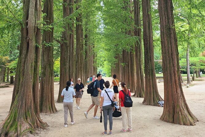Scenic Escape: Nami Island, Garden of Morning Calm, and Rail Bike - Good To Know