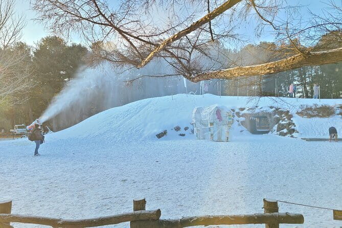 Scenic Escape: Nami Island, Garden of Morning Calm, and Rail Bike - FAQ