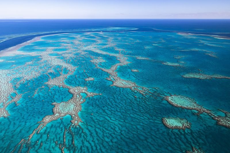 Scenic Flight Heart Reef, Whitehaven beach from Airlie Beach - Is the price worth it?