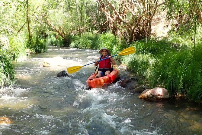 Scenic Guided Kayak Trip - Who Will Love This Tour?