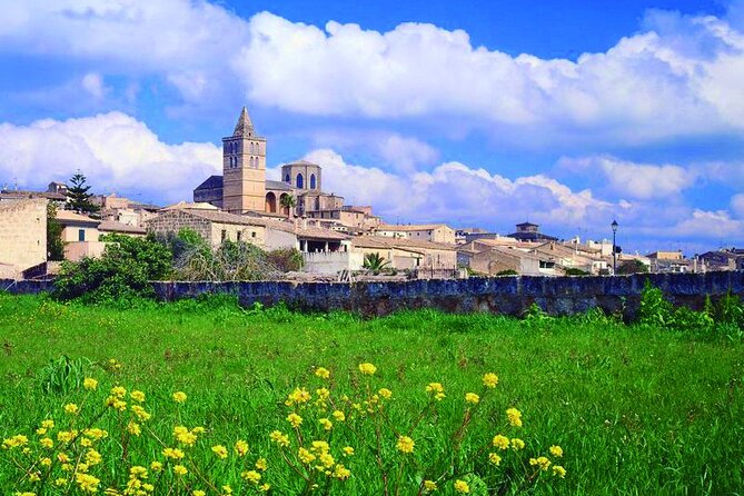 Scenic Guided Tour to Formentor and Alcúdia Local Market - Practical Details