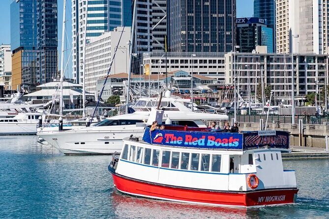 Scenic Harbour Cruise in Auckland - Good To Know