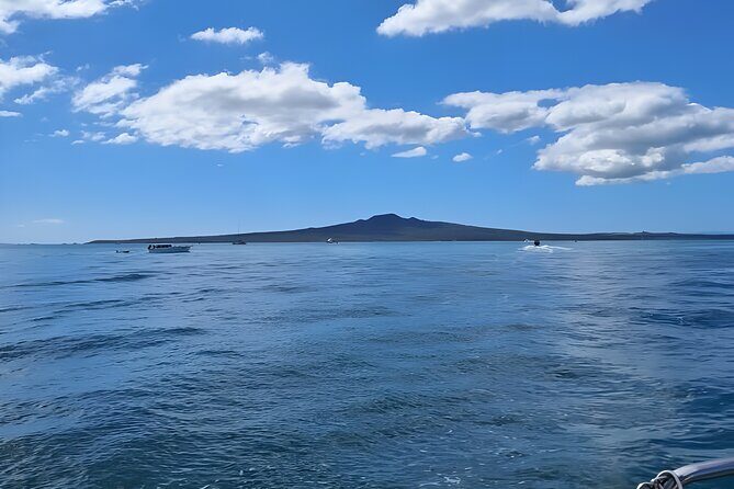 Scenic Harbour Cruise in Auckland - FAQs