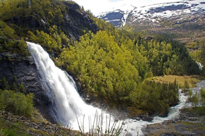 Scenic Hardanger Fjord and waterfalls Guided bus tour - Final Thoughts: Who Will Love This Tour?
