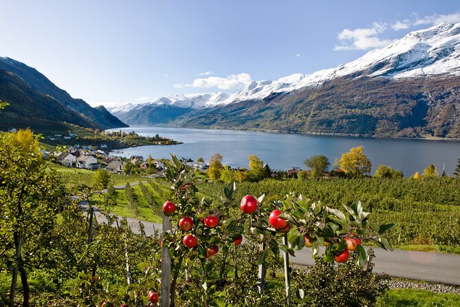 Scenic Hardangerfjord Cruise From Lofthus - Onboard Amenities and Price