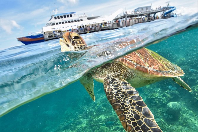Scenic Helicopter Flight to Moore Reef and Return Snorkeling Cruise From Cairns - Cancellation Policy