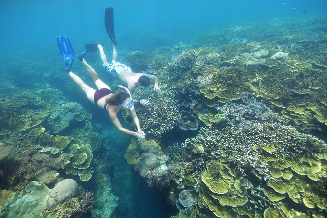 Scenic Helicopter Flight to Moore Reef and Return Snorkeling Cruise From Cairns - The Sum Up