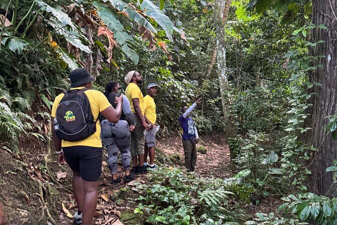 Scenic Hiking Trail Adventure of Montserrat - Final Thoughts: Who Will Love This Tour?