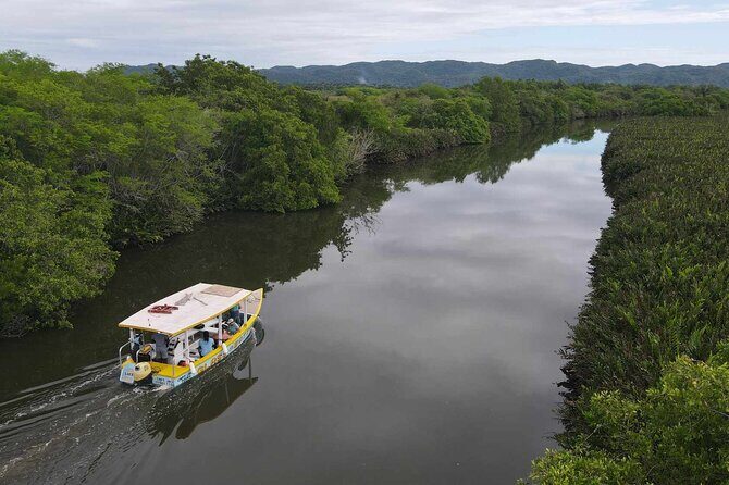 Scenic & Historical Nature Boat Safari Up the Negril River - Good To Know