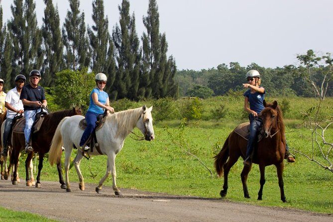 Scenic Horseback Riding Tour from San Juan - The Ride: A Detailed Breakdown
