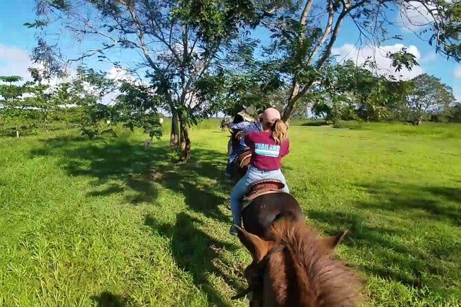 Scenic Horseback Riding Tour from San Juan - The Value and Price Point