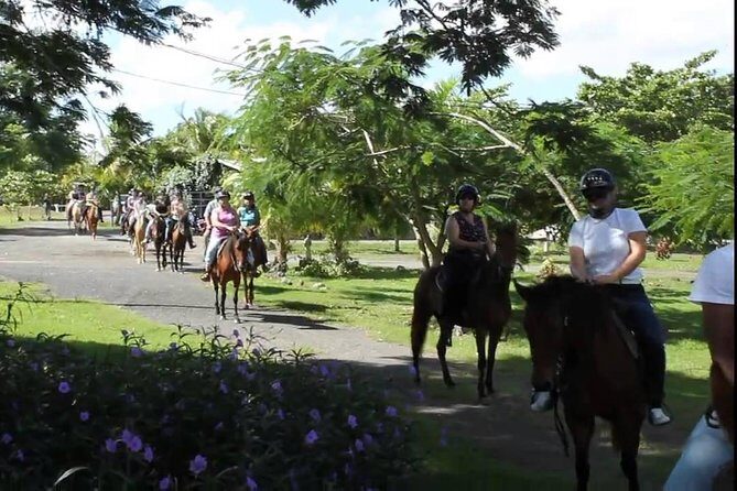 Scenic Horseback Riding Tour from San Juan - Practical Details and Tips