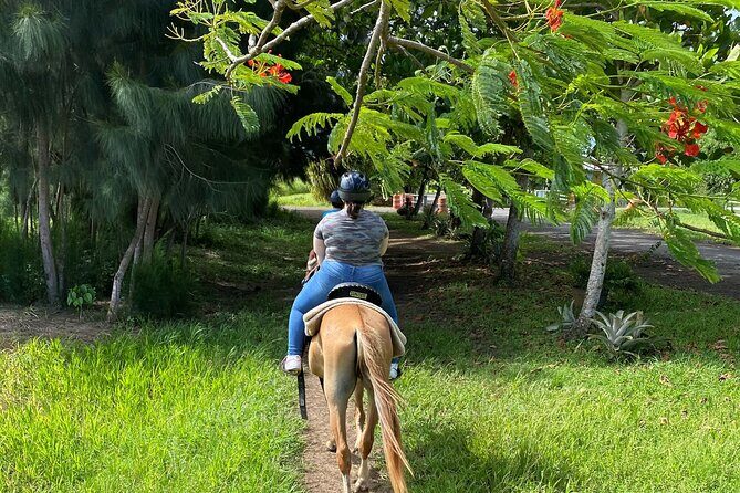 Scenic Horseback Riding Tour from San Juan - Authentic Experiences from Past Travelers