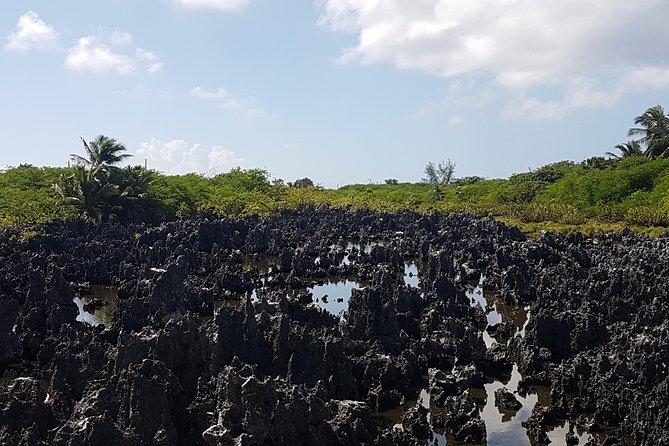Scenic Island Private Tour - Tour Overview