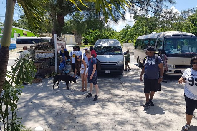 Scenic Island Private Tour - Transportation Details
