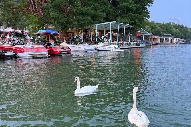 Scenic Lake Austin Boat Tour. BYOB. 2 hr (up to 12 guests) - Who Will Love This Tour?