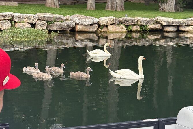Scenic Lake Austin Boat Tour. BYOB. 2 hr (up to 12 guests) - The Sum Up