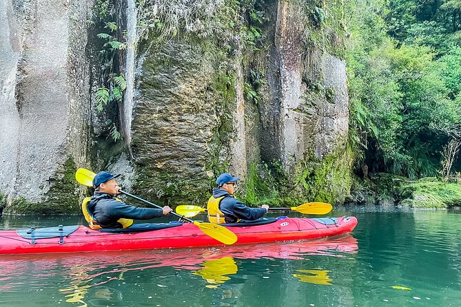 Scenic Lake McLaren Kayak Tour - Pricing and Booking
