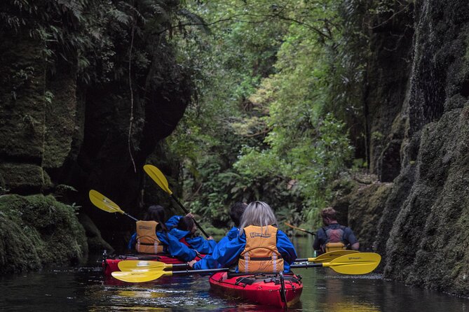 Scenic Lake McLaren Kayak Tour - Tour Overview